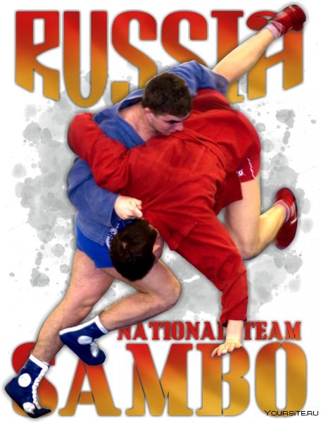 Борьба самбо Харлампиев книга