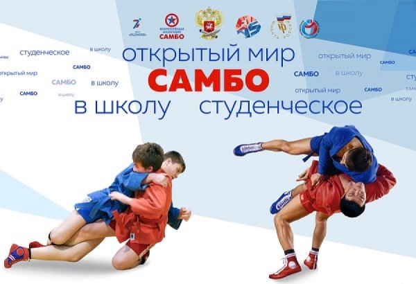 Баннер самбо