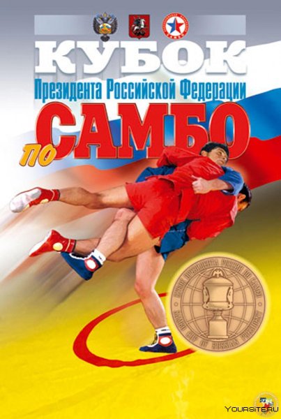 Картина самбо