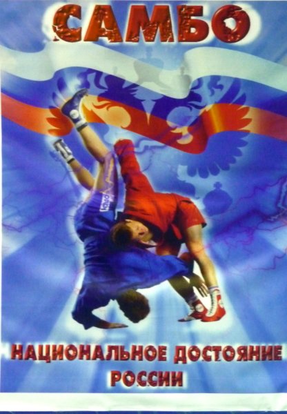 Баннер самбо