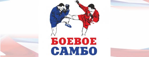 Изображение самбо