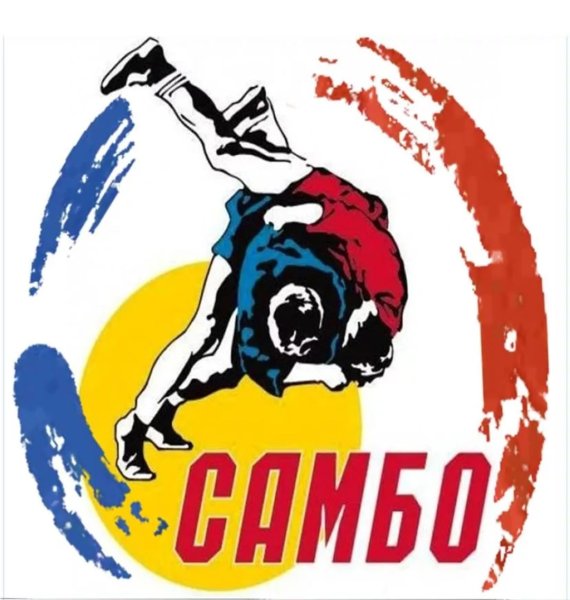 Вольная борьба вектор