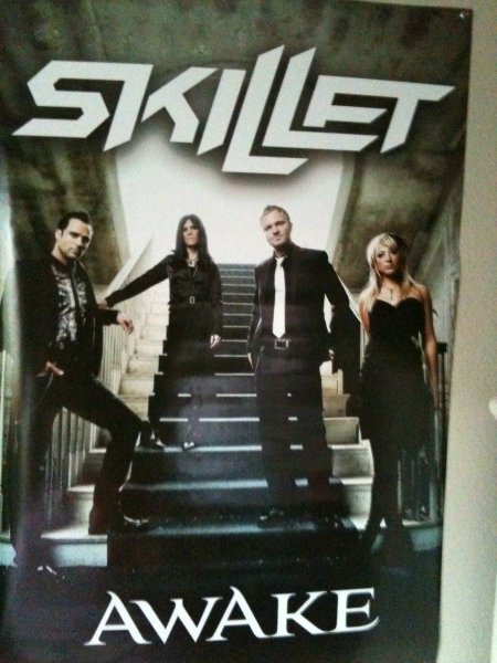 Постер группы Skillet