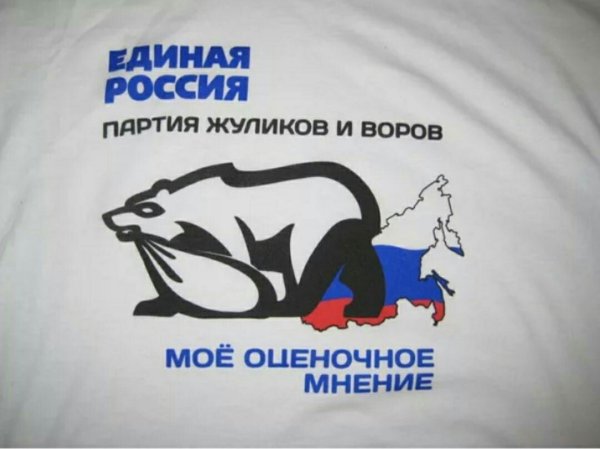 Единая Россия партия жуликов