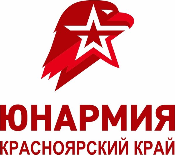 Эмблема юнармейцев