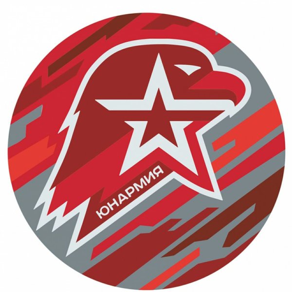 Юнармейский отряд Стрижи