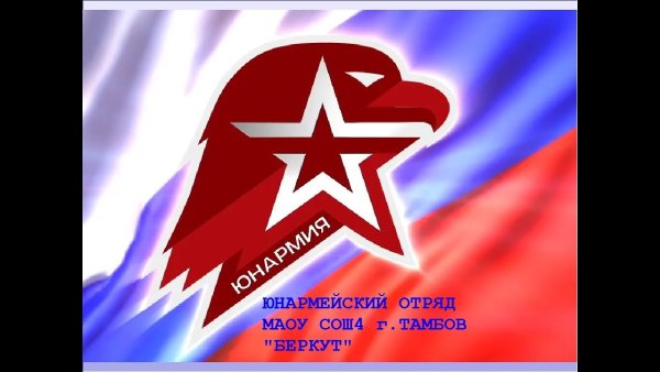 Юнармия символ