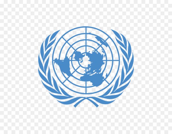 Организация Объединенных наций логотип