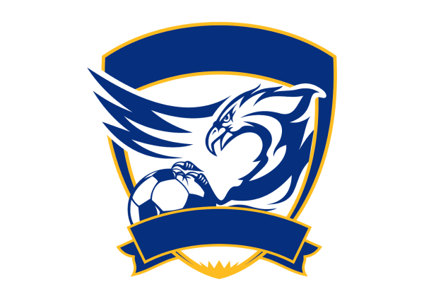 Эмблемы футбольных команд