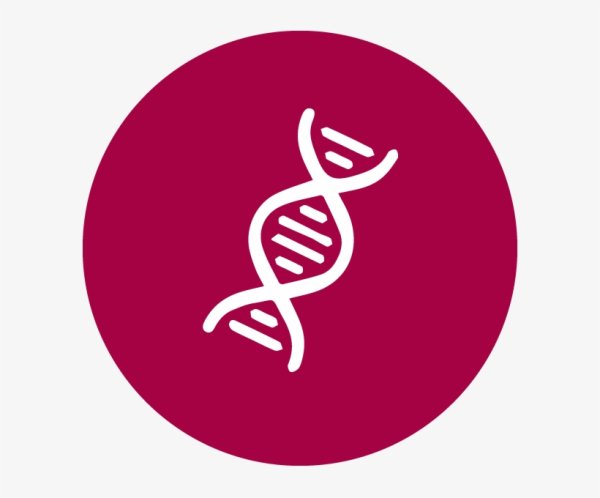 Автосервис логотип колесо