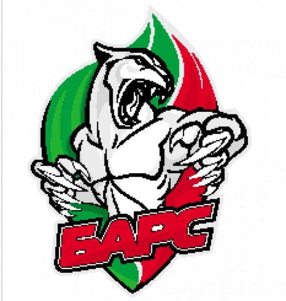 Барс (хоккейный клуб)