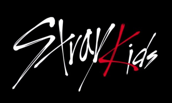 Stray Kids знак группы
