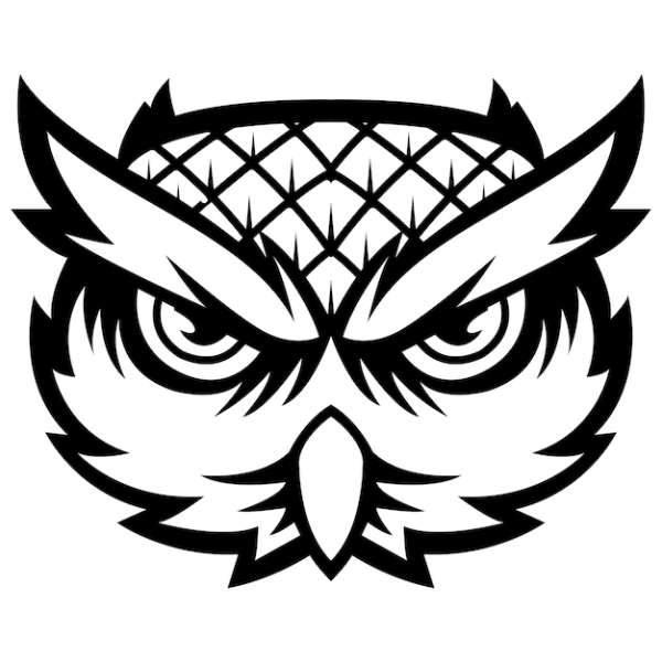 Голова Совы