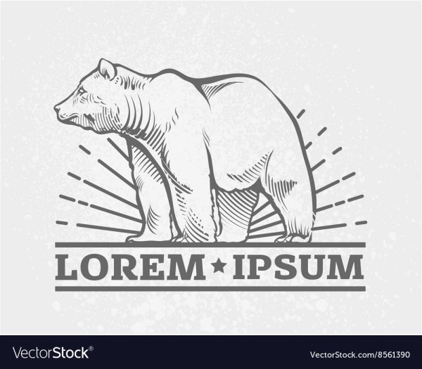 Медведь с рыбой вектор