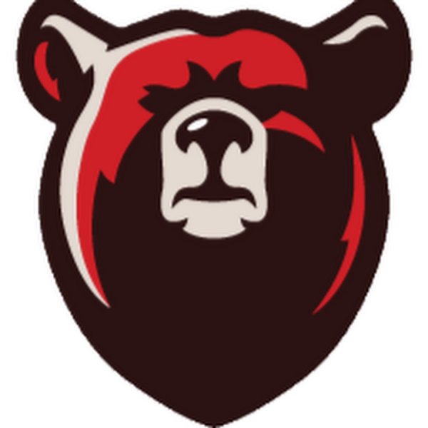 Медведь на щите