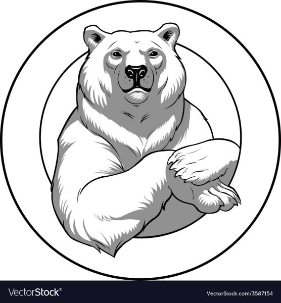 Изображение медведя для логотипа