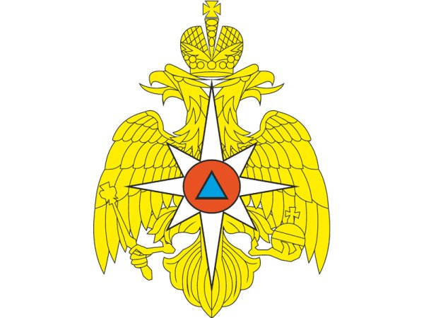 Герб МЧС России PNG