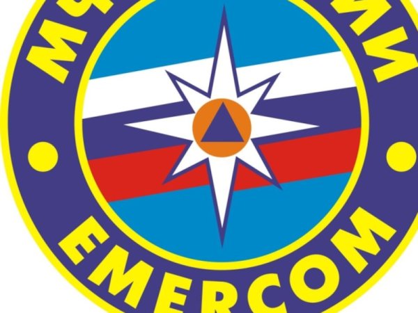МЧС России EMERCOM эмблема вектор