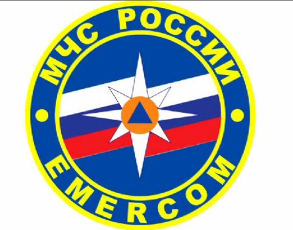 Гражданская оборона МЧС значок