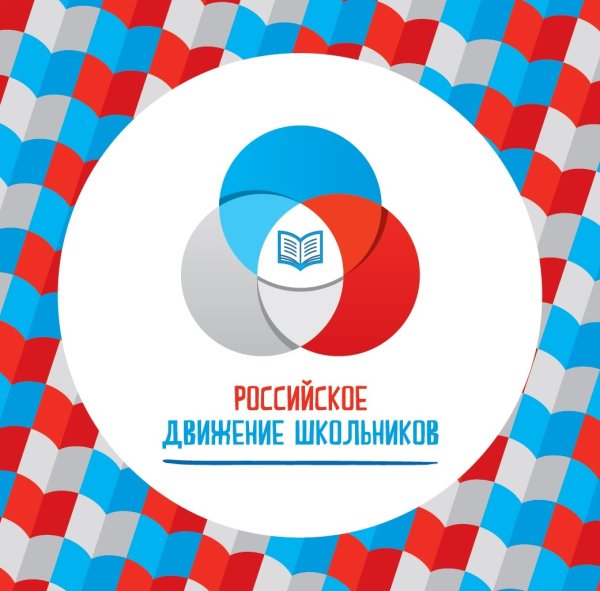 РДШ направления деятельности в школе