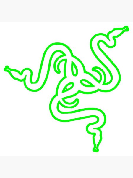 Рейзер змеи