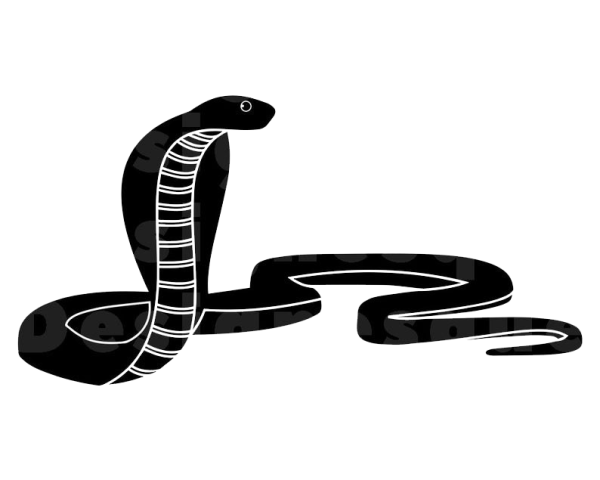 Силуэт змеи