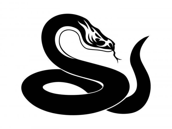 Логотип змеи черно белый