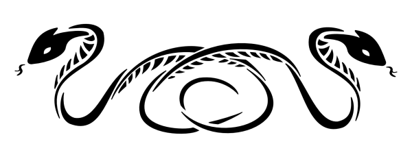 Векторная змея