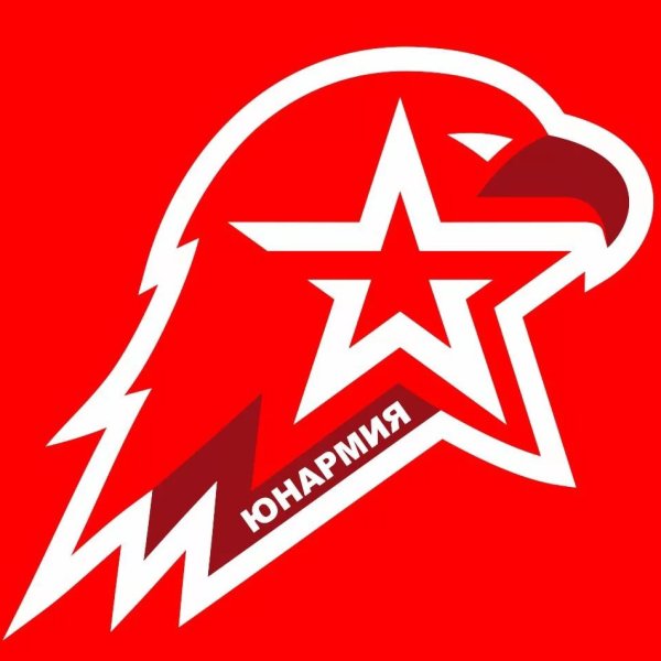 Эмблема юнармейца