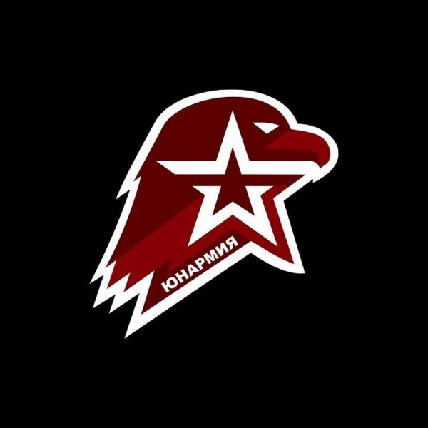 Эмблема Юнармии