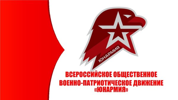 Эмблема юнармейцев