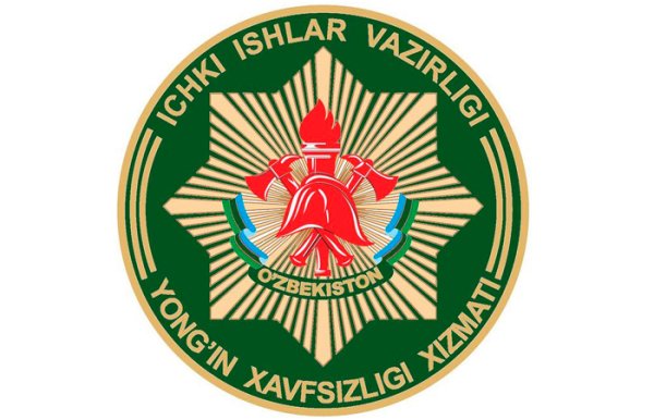 Ички ишлар лого лого