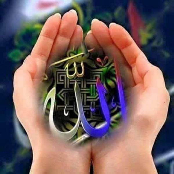 Конь с крыльями вектор