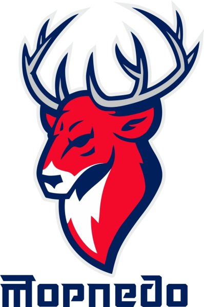 Логотип Торпедо Нижний Новгород