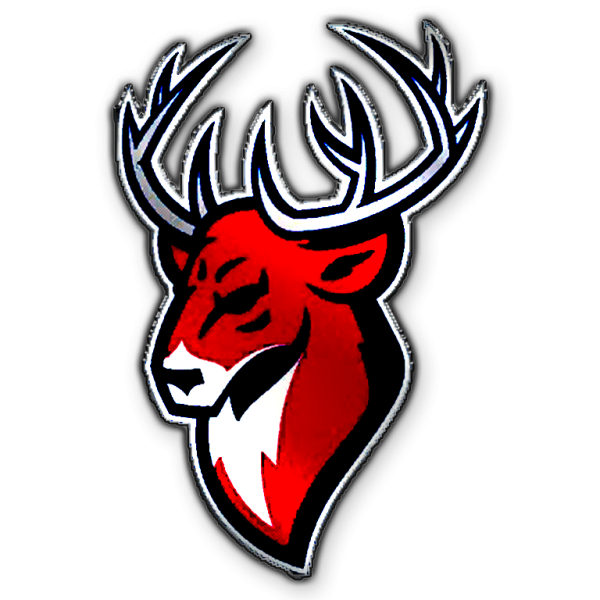 Торпедо (хоккейный клуб, Нижний Новгород)