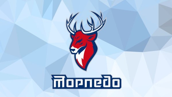 Эмблема Торпедо Нижний Новгород хоккейный клуб