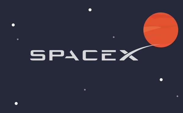 Спейс Икс логотип