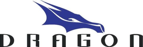 Логотип космический дракон