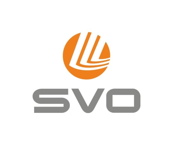 Шереметьево эмблема