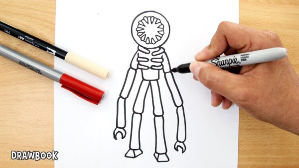 Рисунок Дорс РОБЛОКС