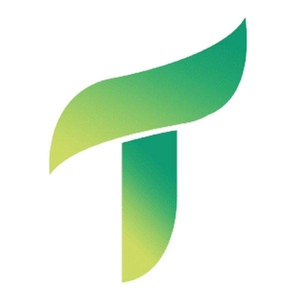 Буква т символ