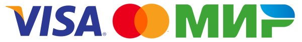 Значок платежной системы мир