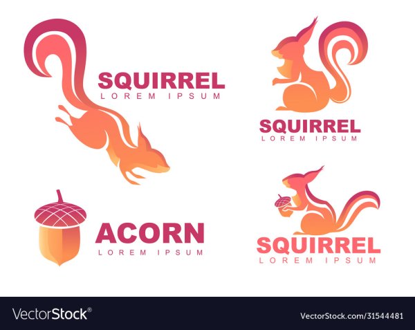 Белка логотип вектор