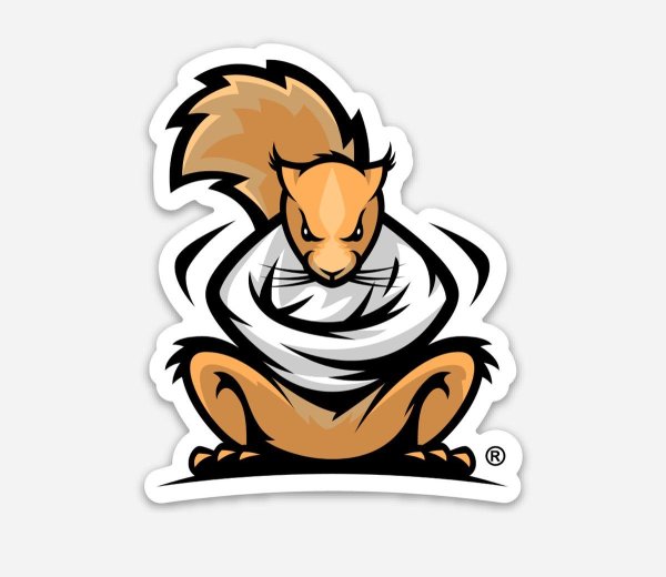 Белка логотип вектор