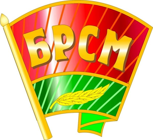 БРСМ логотип РБ
