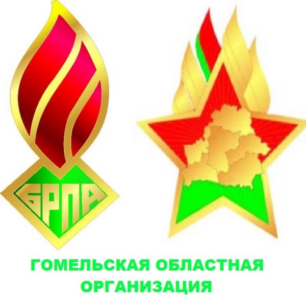 Пионеры Беларуси символика