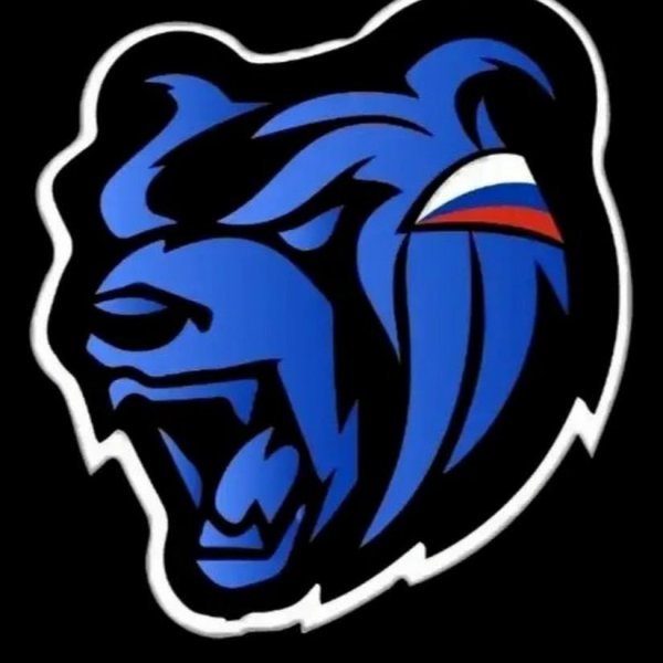 Медведь логотип