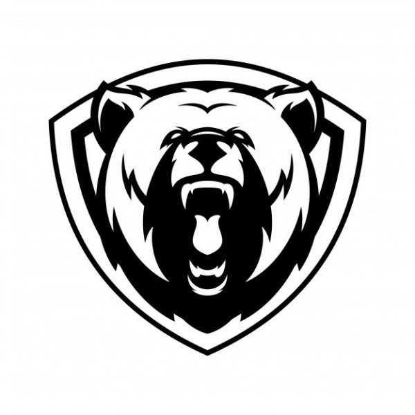 Факст коннектблек Рааш