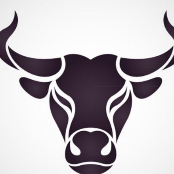 Стилизованная голова быка