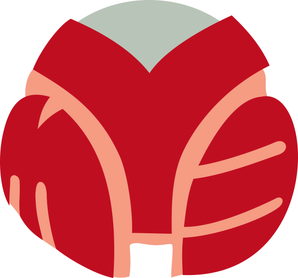 Муз ТВ лого 2007